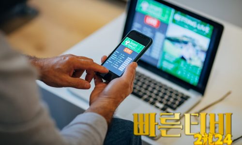 빠른티비에서 라이브 스포츠 중계를 끊김 없이 즐기는 법